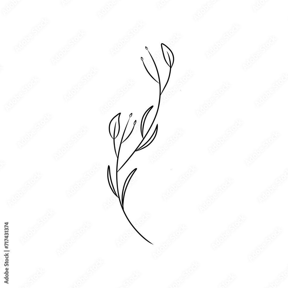 Obraz premium Simple line drawing of a flower suitable for nature themed designs, floral prints, garden illustrations, botanical patterns, and spring or summer themed projects.