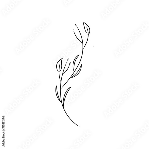 Simple line drawing of a flower suitable for nature themed designs, floral prints, garden illustrations, botanical patterns, and spring or summer themed projects.