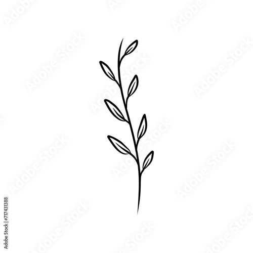 Simple line drawing of a plant suitable for home decor, interior design, botanical prints, nature themed designs, and minimalist illustrations.