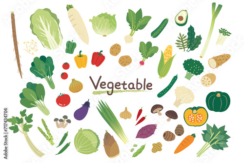 色々な野菜のイラストセット