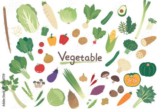 色々な野菜のイラストセット photo