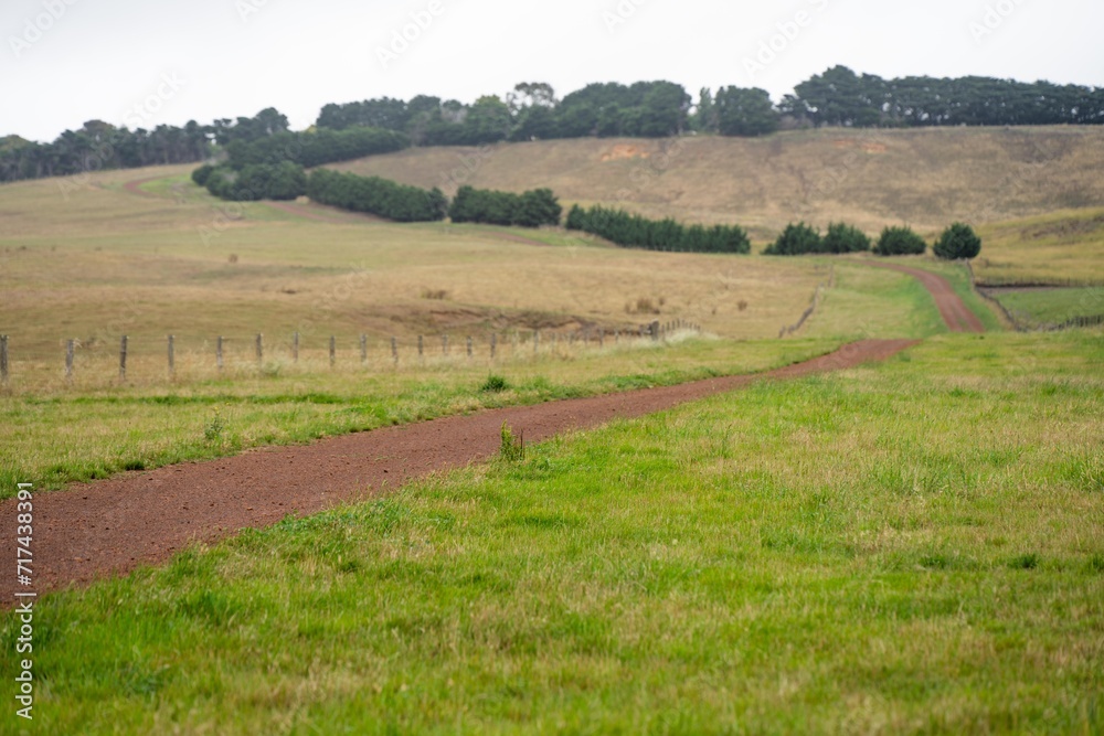 Fototapeta premium laneway on a livestock farm in a gateway on a agriculure farm in austrlian in a dry summer