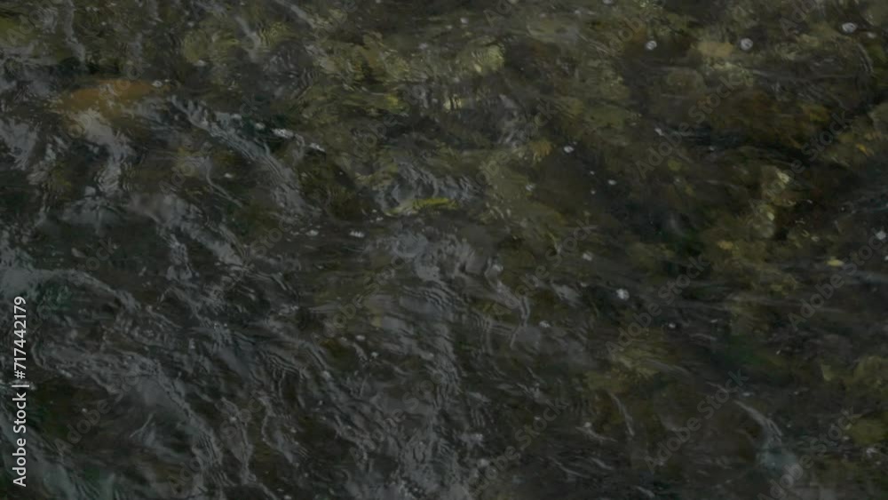 Small river stream in winter cold running creek in slow motion Small river stream in winter cold running creek in slow motion