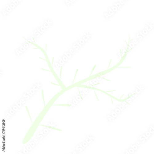 Doodle oval leaf aesthetic tendrils leaf illustration cartoon with white and green colors that can be used for sticker, icon, decorative, e.t.c 