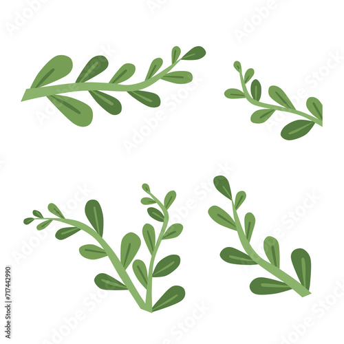 Doodle oval leaf set illustration aesthetic tendrils leaf  cartoon with green color that can be used for sticker  icon  decorative  e.t.c 