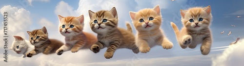 With their funny and cute antics, these kittens are undeniably charming and utterly lovable