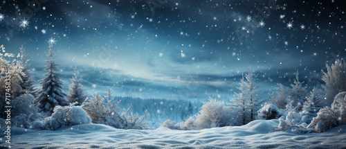 Enchanted Winter Night Landscape