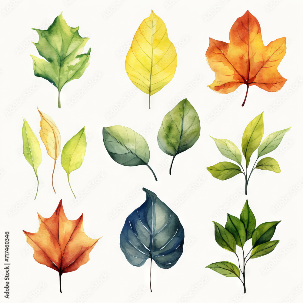 Obraz premium Set of leaf watercolor 