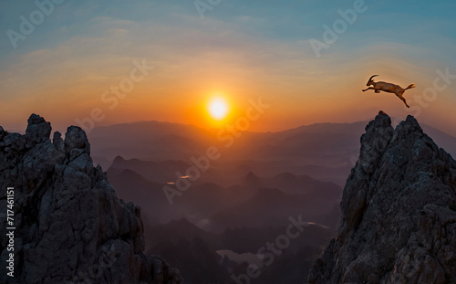 The jumping moment of the mountain goat and the geography of life at the top of the mountains