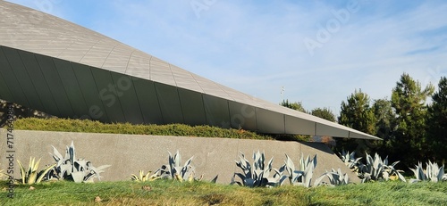 Plants along the wall