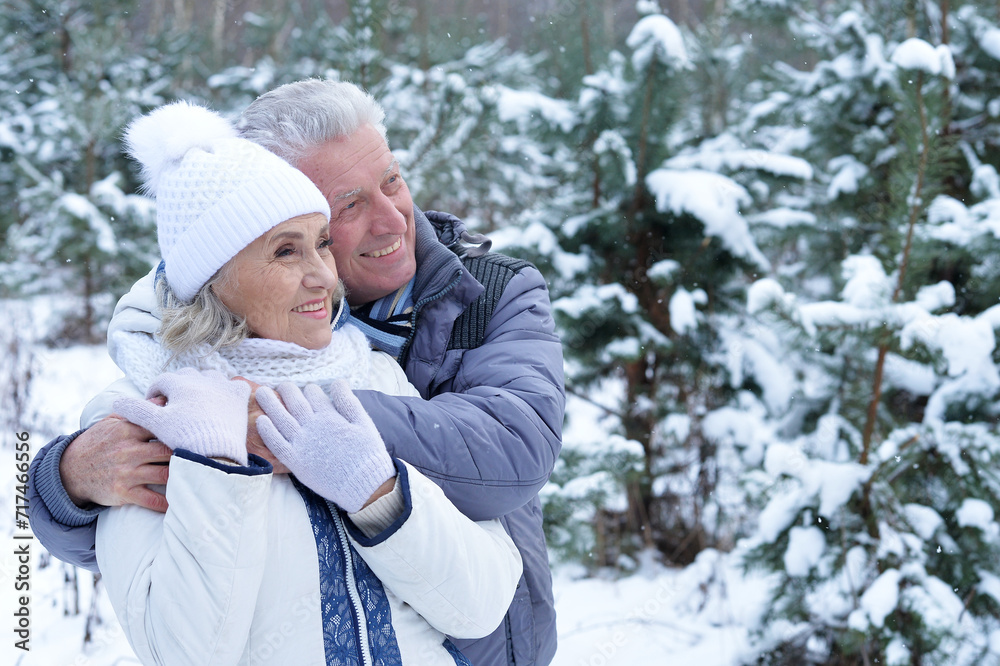 Happy senior couple walking in winter outdoors Happy senior couple walking in winter outdoors
