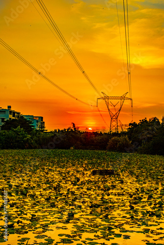 Cultivating rice fields requires a lot of labor as farmers are attached to the land. To cultivate wet rice fields, a certain amount of water is always needed, often very large, so irrigation works suc photo