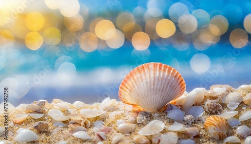 Coastal Harmony: A Gentle Seashell Amidst the Blur" © Sadaqat