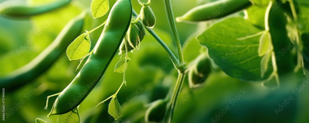 A photo of soybean plants that are still green. Generative AI A photo of soybean plants that are still green. Generative AI