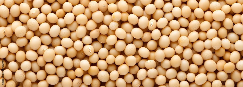 close up of soybean