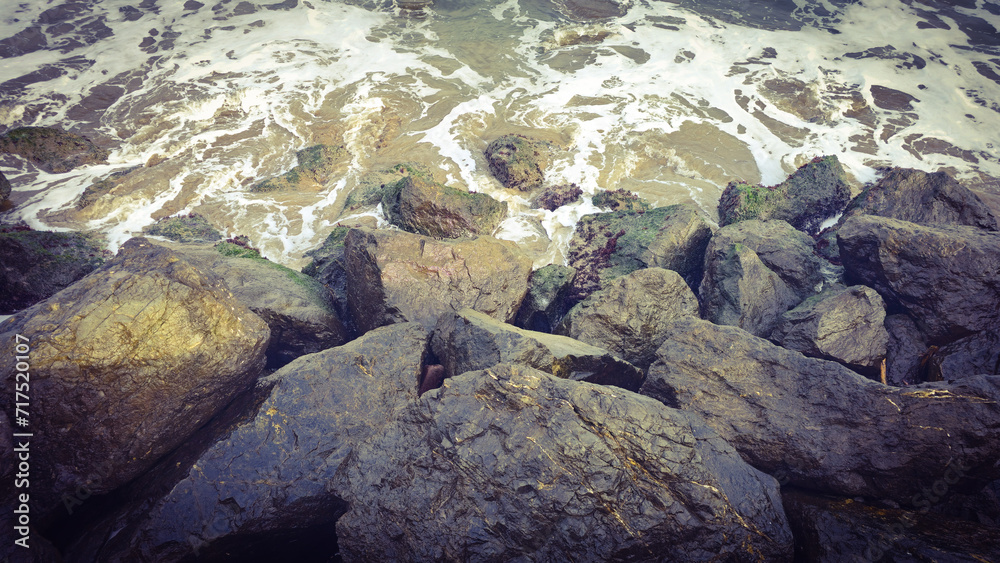 The shore at the golden gate strait. 