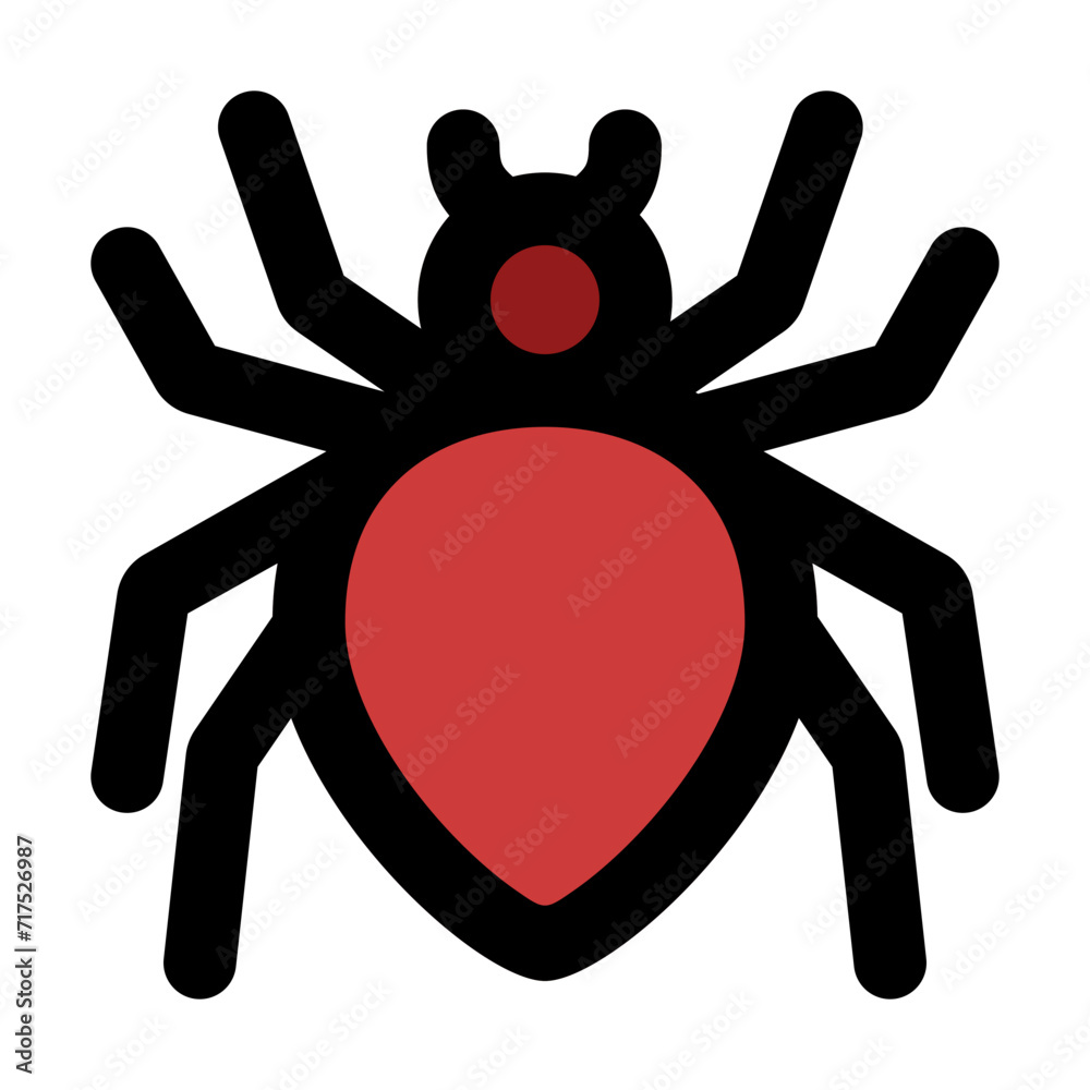 spider spider