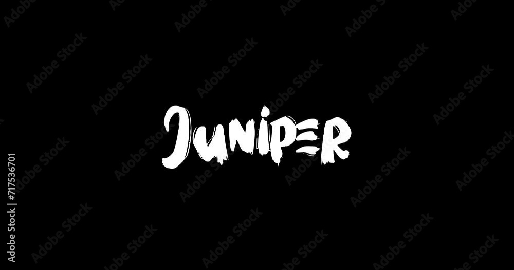 Juniper Women Name in Grunge Dissolve Transition Effect of Animated Bold Text Typography on Black Background Juniper Women Name in Grunge Dissolve Transition Effect of Animated Bold Text Typography on Black Background