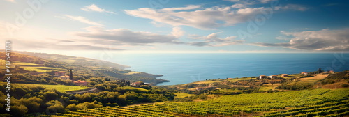 Serene landscapes in Mediterranean regions with vineyards, olive groves, and sea views.