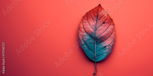 monotonous colored masters leaf on isolated monotonous background copy space background banner, generative ai