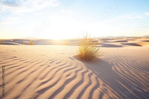 desert dunes casting long shadows at sunset