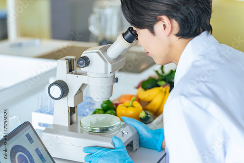 顕微鏡で野菜の成分を観察する若い研究者　管理栄養士 photo