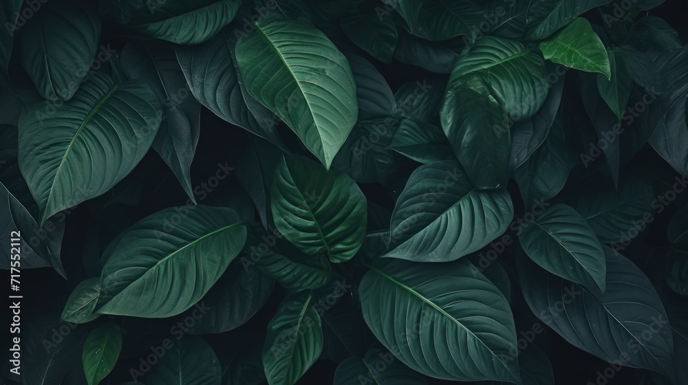 Seamless pattern of luxurious dark green leaves. Green background or wallpaper