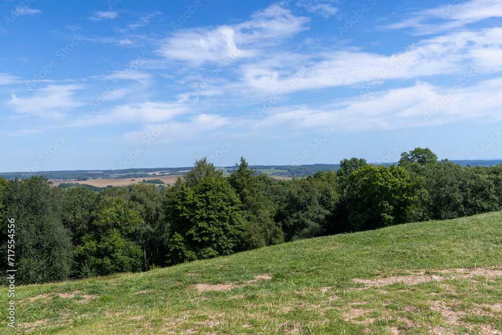 a large number of different deciduous trees in the summer a large number of different deciduous trees in the summer