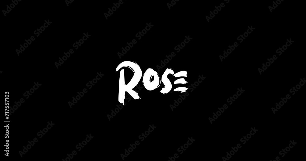 Rose Women Name in Grunge Dissolve Transition Effect of Animated Bold Text Typography on Black Background Rose Women Name in Grunge Dissolve Transition Effect of Animated Bold Text Typography on Black Background
