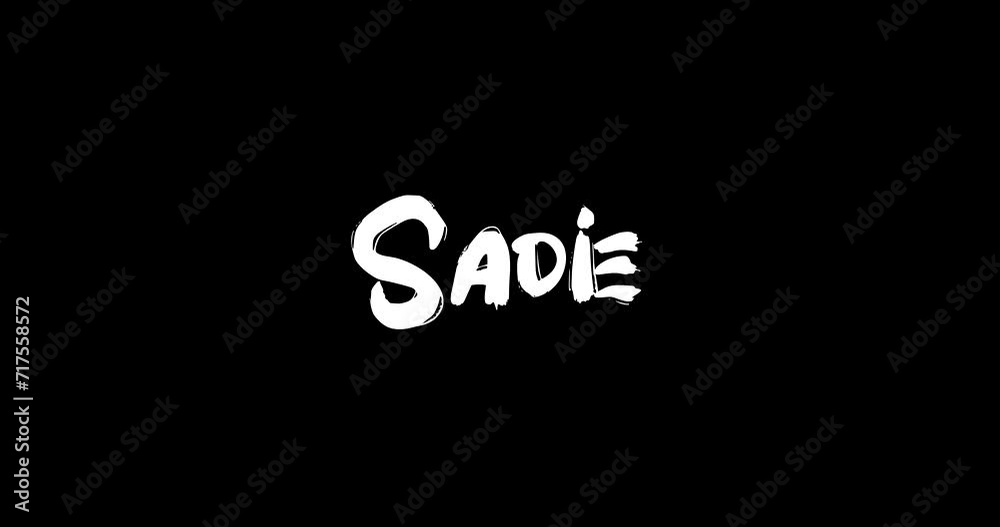 Sadie Women Name in Grunge Dissolve Transition Effect of Animated Bold Text Typography on Black Background Sadie Women Name in Grunge Dissolve Transition Effect of Animated Bold Text Typography on Black Background