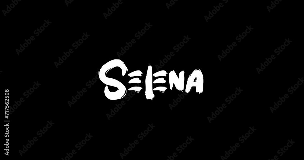 Selena Female Name in Digital Grunge Transition Effect of Bold Text Typography Animation on Black Background Selena Female Name in Digital Grunge Transition Effect of Bold Text Typography Animation on Black Background
