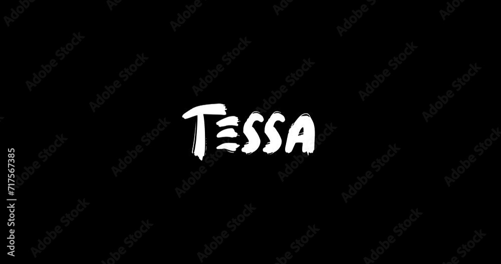 Tessa Female Name in Digital Grunge Transition Effect of Bold Text Typography Animation on Black Background Tessa Female Name in Digital Grunge Transition Effect of Bold Text Typography Animation on Black Background
