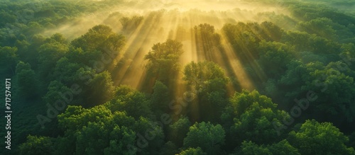 Vintage effect seen in a summer morning mist over a green forest in an aerial drone image with sunrise and rays of light. photo