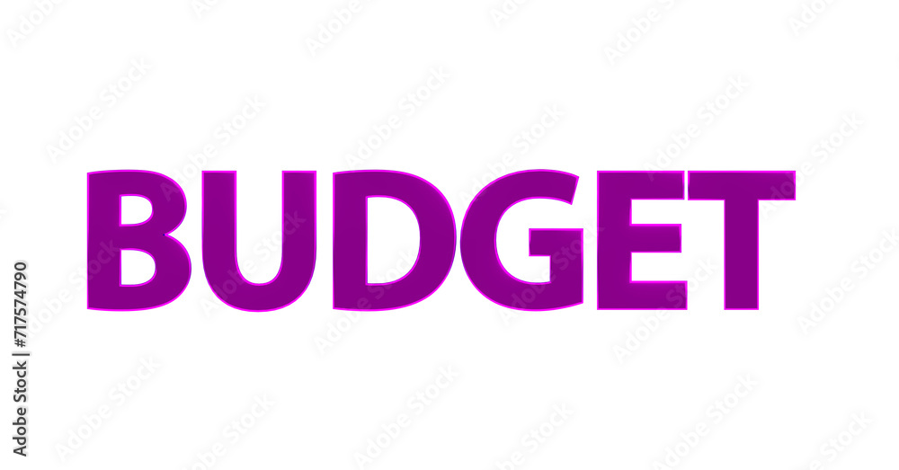 Obraz premium Budget, Finanzen, Geld, Sparen, Kosten, Ausgaben, Einnahmen, Business, Finanzplanung, Haushaltsplan, Investitionen, Wirtschaft, Geldmanagement - pinke plakative 3D-Schrift, Freisteller, Rendering 