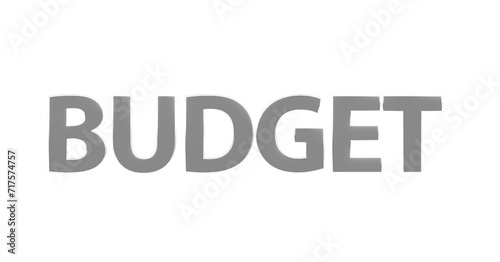 Budget, Finanzen, Geld, Sparen, Kosten, Ausgaben, Einnahmen, Business, Finanzplanung, Haushaltsplan, Investitionen, Wirtschaft, Geldmanagement  - silberne plakative 3D-Schrift, Freisteller, Rendering
