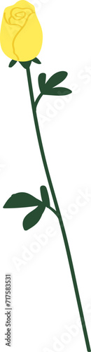 yellow rose flat vector isolated on transparent background