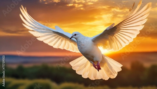 Dove against a Sunset Sky  symbol of Holy Spirit