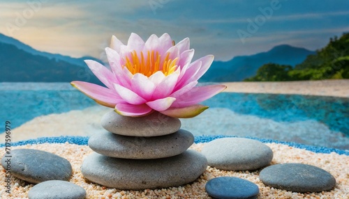 Balancing Act  Lotus Blossom and Blue Hues on Pebbles 