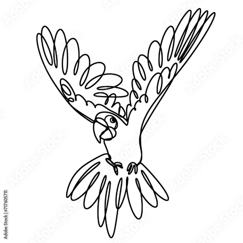 macaw parrot flying one line drawing 