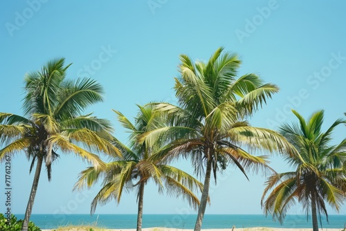 Tropical beach scene with lush palm trees against a clear blue sky.