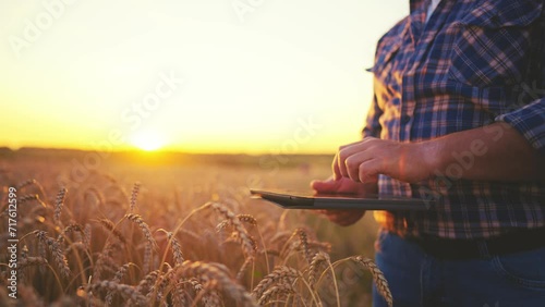 Man botanist with tablet works in field. Farmer agronomist checks ripe wheat, growth, collects data in tablet. Scientist conducts research of plant cultivation. Harvesting, digitization concept. photo