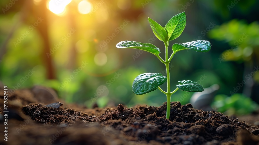 Growing Green: A Sunny Afternoon in the Garden Generative AI Growing Green: A Sunny Afternoon in the Garden Generative AI