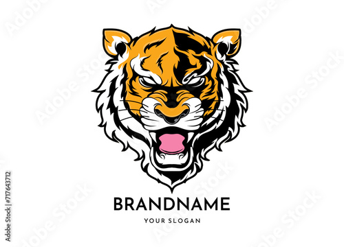 Tiger head face logo vector