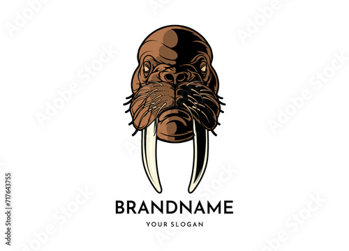 Walrus head face logo vector