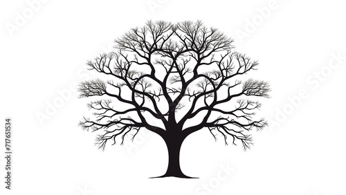Tree silhouette cut out. Tree on transparent background.
