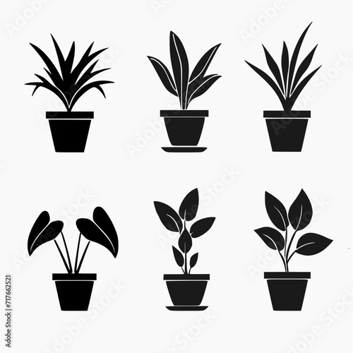 set of indoor ornamental plant icons. white background