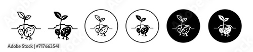 Potatoes plant vector icon set collection. Potatoes plant Outline flat Icon.