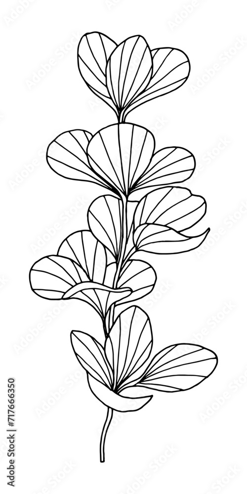 Vector illustration of a plant branch. Ink drawing of plants for crafts, greeting cards, wedding invitations. Isolated hand drawn floral sketch of botanical doodle flowers for stationery