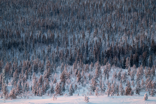 Lapland in winter with large amount of snow during colourful sunset photo