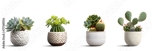 collection Set of different mixed cactus and succulents types of small mini plant in modern ceramic nordic vase pot as furniture cutouts isolated on transparent png background photo